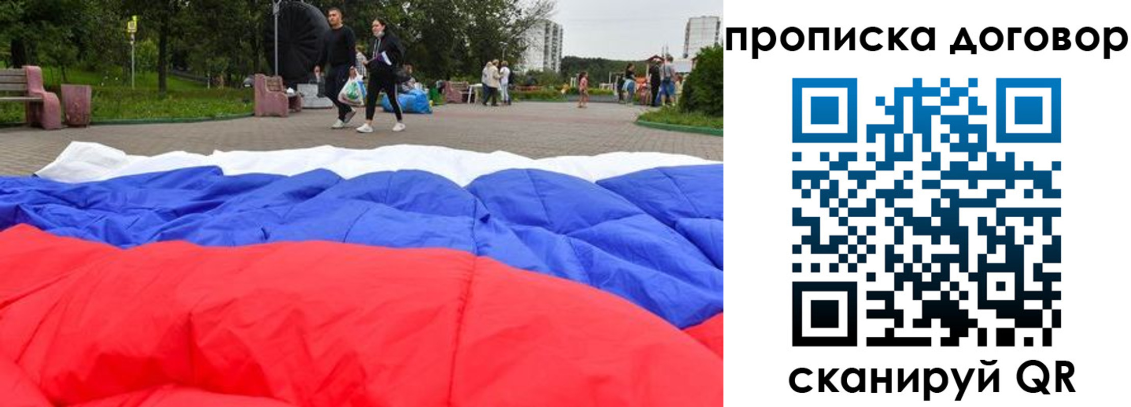 прописка поиск в Щёлково